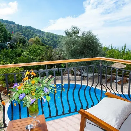 Guest house Exclusive Boutique 5